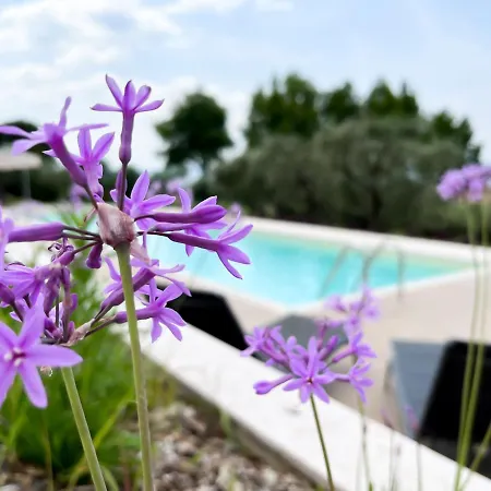 Apartments Monsurei, Lake View Bardolino Exterior photo